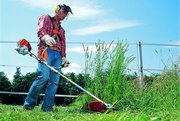 Услуги газонокосильщика, садовника в Гродно и Гродненской области