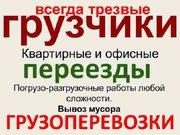  Услуги грузчика в Борисове, Жодино, Смолевичи